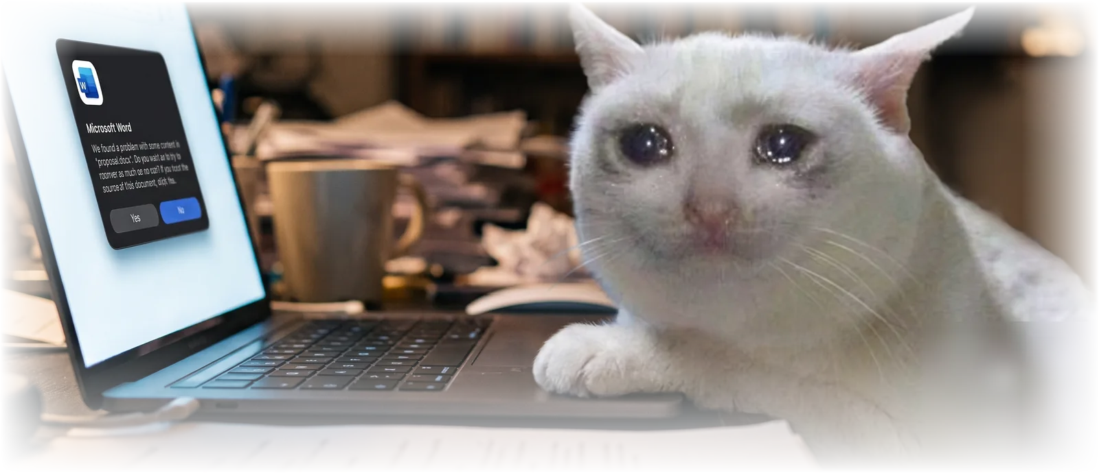 A tearful cat beside a laptop showing Word's “We found a problem with some content” dialog